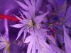 20180529_075849.jpg