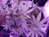 20180529_075843.jpg