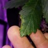 20180603_215937.jpg 20180603_215937.jpg