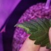 20180602_235001.jpg 20180602_235001.jpg