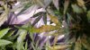 20180608_084318.jpg