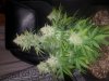 20180608_165351.jpg
