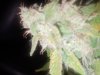 20180608_165136.jpg