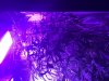 5C32F06C-012A-4B96-AEA5-DD336F04EDB3.jpeg