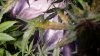 20180608_084544.jpg