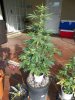 100_0153.jpg