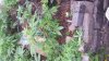 20180616_164145.jpg