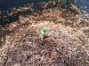 20180616_001020.jpg