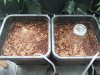 20180618_004158.jpg