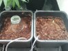 20180618_004205.jpg