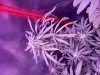 20180621_053204.jpg