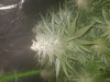 20180621_141933.jpg
