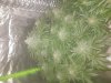 20180621_142129.jpg