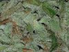 20180622_150918.jpg
