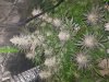 20180626_121416.jpg