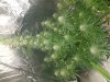 20180626_121352.jpg