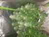 20180626_121402.jpg
