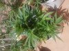 20180701_150749.jpg