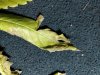 IMG_20180704_182617.jpg