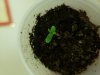 20180625_205944.jpg