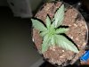 20180705_054316.jpg