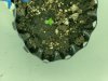 20180703_101051.jpg