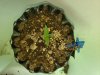 20180705_054221.jpg