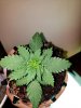 20180709_125042.jpg