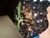 20180709_115008.jpg