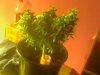 TPhoto_00023.jpg