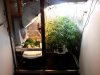 20130203_184912.jpg