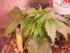 DSCF4759.jpg