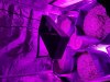 20180711_150243.jpg
