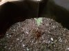 20180711_150207.jpg