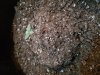 20180711_150020.jpg