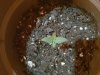 20180711_150051.jpg