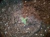 20180711_150015.jpg