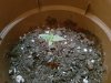 20180711_150112.jpg