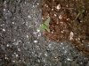 20180711_150134.jpg