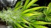 20180713_012230.jpg