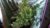 20180713_012126.jpg