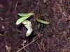 20180713_064011.jpg