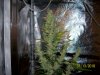 100_6146.JPG