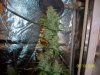 100_6147.JPG