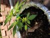 20180713_092340.jpg