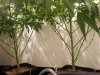 20180714_012302.jpg