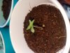 20180714_112200.jpg