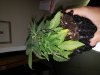 20180716_084112.jpg