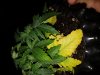 20180719_080153.jpg