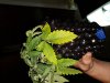 20180719_080148.jpg
